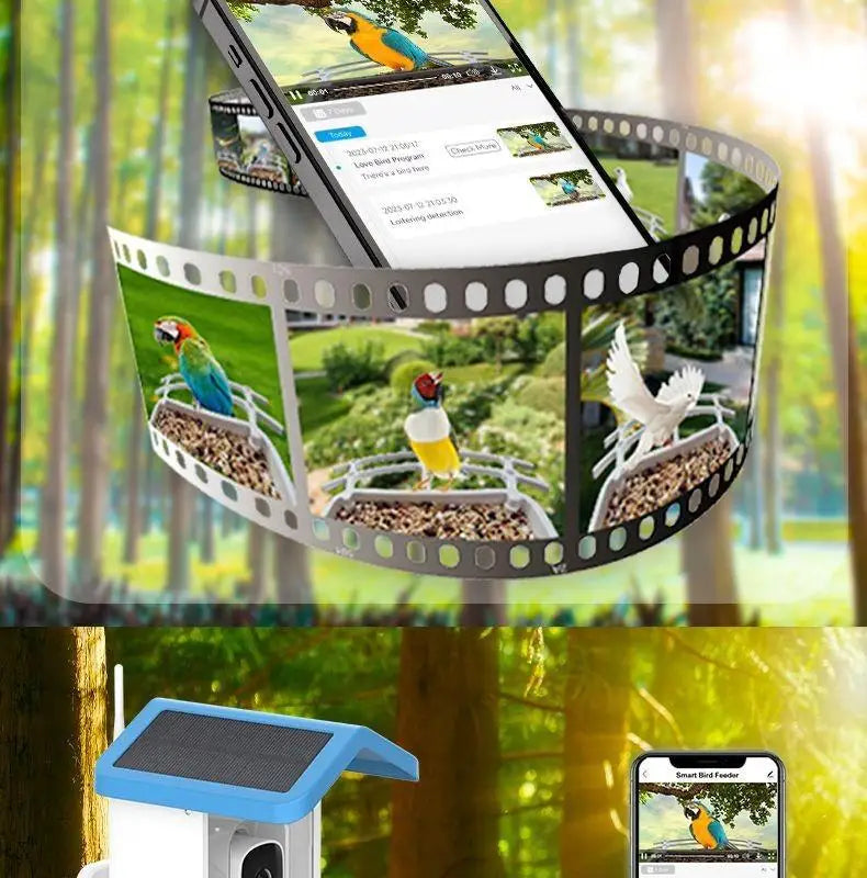 SkyView™ Smart Bird Feeder 1.5L (Solar Powered Camera + AI Recognition) Full Color Night Vision Pet Products